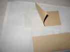 10 Pk  All Insect Sticky Traps  Fly  Spider  Cricket  Roach Lady  Bug   In Usa 
