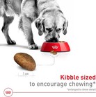 Royal Canin Size Health Nutrition Large Breed Adult Dry Dog Food 30 Lb Bag