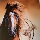 Aqha World Show Poster Print 50 Years American Quarter Horse 11x17 Oklahoma City