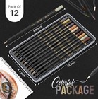 Black Widow Skin Tone Colored Pencils For Adult 1 Count  pack Of 12  