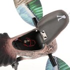 Duck Hunting Electric Motion Mallards  Attracting