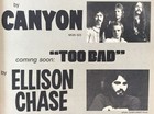 Rare Orig Vtg 1975 Canyon Ellison Chase Magna Poster Style Music Ad Art Print