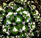 Vintage Brass Kaleidoscope   Maslach Marble Glass Ball Unique Design W  Antique