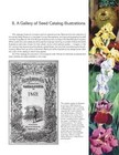 Vintage Seed Litho Advertising Collector Ref Guide Catalogs   Packets