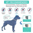 Dog Collar Flea And Tick 8 Months Protections Adjustable Pet Collar For Dogs
