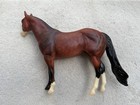 Peter Stone Ideal Stock Horse    illini    Bay Ish Mare D   arry Joan Frank