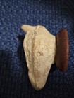 Ancient 4-7th Century Oil Lamp Found In Early Christian Necropolis