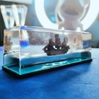 Ghost Ship Black Pearl Ship In A Bottle - Mystical Liquid Drift Bottle