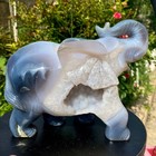 6 74lb Natural Agate Geode Quartz Crystal Engrave Elephant Skull Healing Gift De