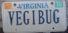 Virginia 2012 Vanity License Plate   Vegibug   Vegitarian
