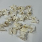 Lot Of 20 Real Coyote Molars Teeth Taxidermy Art Weird Odd Project Unqiue   1682