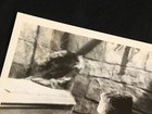 Bride Of Frankenstein 1935 Boris Karloff Monster Vintage 8x10 Still 729-52