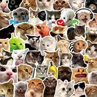 100pcs Fun Cat Kitty Pet Meme Stickers Decals For Laptops Phone Journal Mix Set