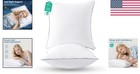 Luxurious 26x26 Euro Pillow Set - Stylish Down Alternative For Ultimate Comfort