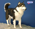 Hansa Lifelike Dog Husky Statue Figure Stuffed Life Size Plush Animal Xl