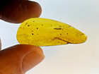 A101 Bu1876 Nice Feather   Rare Spider Webbing 3g Burmese Amber Burmite  99 Mya