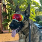Dog Goggle Anti-uv Sunglasses Eyewear Protection Adjustable Windproof For Travel