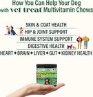 Dog Multivitamin Chewable With Glucosamine   Salmon Oil     Made In Usa     Pupp