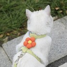 Cute Bowknot Cat Harness And Leash Adjustable Pet Harness With Traction Rope
