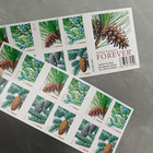 5 Sheets Of 20 Stamps Holiday Evergreens Booklet Pane  All Brand New And Unused