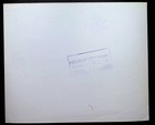 Gregory Peck David And Bathsheba 1951 20th Century Fox Movie Still