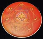 Tool Danny Carey Signed Drumhead 14  Orange Tom Autographed Sacred Geometry Rare