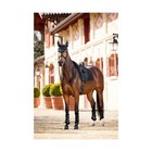 Lemieux Merino  Half Lined Suede Dressage Square - Shapes To Your Horse s Bac   