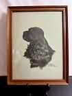 Vintage Cocker Spaniel Print - Gladys Emerson Cook
