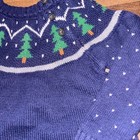 Hanna Andersson Navy Christmas Sweater Dress