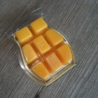 Scentsy Autumn Blaze Maple Retired Wax Melt Bars 3 2 Fl Oz Free Shipping New