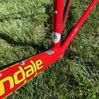 Cannondale Saeco Macchine Da Caffe 55cm Road Bike Frameset  excellent near Mint 