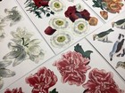 Anna Griffin Antique Botanical Die Cuts 8 Sheets
