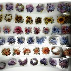 Koolemon 6 Rolls Pet Flower Tape For Journal Scrapbook  Waterproof