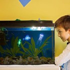 8 Pcs Glow In The Dark Fish Tank Decorations Silicone Floating Artificial Jellyf