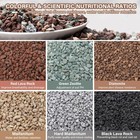 Nupick 20lb Mix Horticultural Lava Rocks For Plants  3 8  20 Lb  Mixed