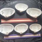 Natural Witch   s Seashell  Ocean Altar Decor  Ritual Offering wicca 6pcs  Lot 19