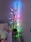 Fluora Led Smart Plant  video In Description  Read Description Pls