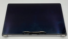 Oem Apple Macbook Pro A1990 15  Lcd Screen Display Assembly Gray Silver 661-1035