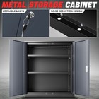 15 75 d X 31 5 w X 36 02 h Metal Cabinets W 2 Doors And 2 Shelves Gray black