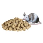 Kaytee Fd Mouse  Rat  Hamster Food- 2lb