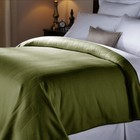 Sunbeam Heated Electric Blanket Royal Dreams Quilted Fleece Queen Ivy Green