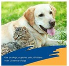 Zodiac Flea   Tick Spray For Dogs  Cats  Puppies   Kittens 16 Fluid Ounces