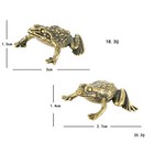 2pcs Solid Brass Frog Copper Figurines Statue Office Garden Ornament Gift