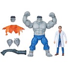 Marvel Avengers Legends Gray Hulk And Dr  Bruce Banner Action Figure Set
