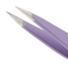 Mini Slant And Point Tweezer Combo Set  Stainless Steel  Eyebrows  2 Pieces 