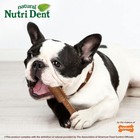 Nutri Dent Dog Dental Chews  Natural Teeth Cleaning Dental Treats  Breath Fre   