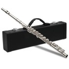 Ktaxon 16 Hole C Flute Closed Hole With Case Accessories Approx School Band Gift