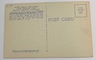 Vintage Linen Postcard   Famous Tree House Lilley Redwood Park   California Ca