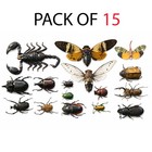 15 Real Mixed Insect Specimens Mounted Taxidermy Bugs Scorpion Art Boset10