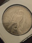 1922 Peace Silver Dollar  1 Philadelphia Business Strike 0 900 Silver Km 150